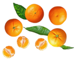 Kaufland Krumbach - Span. Clementinen XXL Angebot im Prospekt Span. Clementinen XXL bei Kaufland im Krumbach Prospekt für 3,99 €