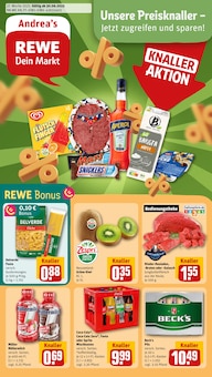REWE Prospekt "Dein Markt" mit  Seiten (Köln)