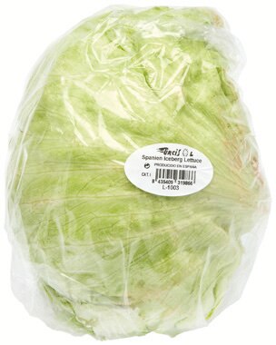 Laitue Iceberg