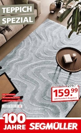 Teppichboden im Segmüller Prospekt in Rodgau Aktueller Segmüller Prospekt mit Teppichboden, "Teppich Spezial", Seite 1