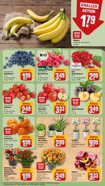 Ähnliche Blumenzwiebeln Angebote im Prospekt "Dein Markt" von REWE in Fürth Ähnliche Angebote wie Blumenzwiebeln im Prospekt "Dein Markt" auf Seite 9 von REWE in Fürth