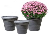 Angebot im Hagebaumarkt Hannover Prospekt Hagebaumarkt Hannover Prospekt mit im Angebot für 7,99 €