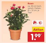 Rosen bei Netto Marken-Discount im Bobingen Prospekt für 1,99 €