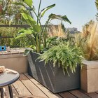 Jardinière décorative ECLOZ - ECLOZ en promo chez Gamm vert Antony à 69,99 €