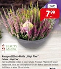 Raiffeisenmarkt - Knospenblüher-Heide High Five Angebot im Prospekt Knospenblüher-Heide High Five bei Raiffeisenmarkt im Prospekt "" für 7,99 €