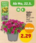 Zauberglöckchen Angebot in Walsrode Zauberglöckchen im aktuellen Prospekt bei Penny-Markt in Walsrode