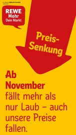 REWE Biomärkte Prospekt der aktuellen Woche mit 32 Seiten, gültig von 27.10.2025 bis 01.11.2025, in Homberg und Umgebung Aktueller REWE Biomärkte Prospekt in Homberg und Umgebung, "Dein Markt" mit 32 Seiten, 27.10.2025 - 01.11.2025