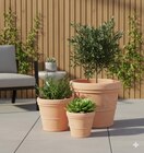 Pot terre cuite Volterra - HYBA dans le catalogue Carrefour