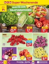 Chrysantheme im Netto Marken-Discount Prospekt in Kiel Aktueller Netto Marken-Discount Prospekt mit Chrysantheme, "Aktuelle Angebote", Seite 42