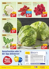 Ähnliche Rotkohl Angebote im Prospekt "Aktuelle Angebote" von Netto Marken-Discount Ähnliches Angebot bei Netto Marken-Discount in Prospekt "Aktuelle Angebote" gefunden auf Seite 13