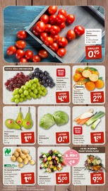 Kartoffeln im nahkauf Prospekt in Celle Aktueller nahkauf Prospekt mit Kartoffeln, "nichts liegt näher", Seite 3