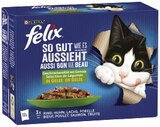 Katzennahrung Angebote von Felix bei REWE Hennef für 3,99 €