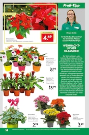 Aktueller BayWa Bau- und Gartenmärkte Prospekt mit Blumen, "Hier bin ich gern", Seite 18