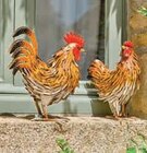 Coq ou poule en métal dans le catalogue Super U