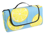 Picknickdecke im Angebot bei KiK in Weiden Picknickdecke Angebote bei KiK Weiden für 6,99 €