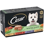 Barquettes pour chien - CESAR à 3,89 € dans le catalogue Carrefour