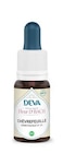 DEVA-Complément alimentaire fleur de Bach chèvrefeuille bio Deva - 15 ml en promo chez Botanic DEVA-Complément alimentaire fleur de Bach chèvrefeuille bio Deva - 15 ml dans le catalogue Botanic