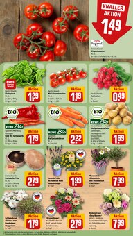 Kartoffeln im aktuellen REWE Prospekt (Dresden) Kartoffeln im REWE Prospekt "Dein Markt" mit 22 Seiten (Dresden)
