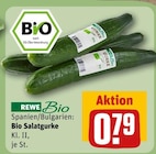 Bio Salatgurke im Angebot bei REWE in Paderborn Bio Salatgurke Angebote von REWE Bio bei REWE Paderborn für 0,79 €