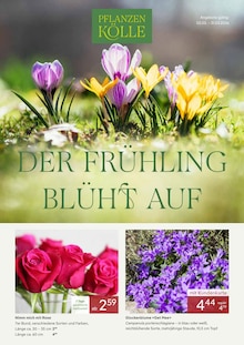 Blumen im Pflanzen Kölle Prospekt "DER FRÜHLING BLÜHT AUF" mit 4 Seiten (Nürnberg)