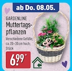 ALDI Nord Isenbüttel - Muttertagspflanzen Angebot im Prospekt Muttertagspflanzen bei ALDI Nord im Isenbüttel Prospekt für 6,99 €