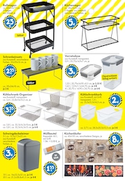 TEDi Abfalleimer im Prospekt 