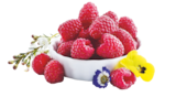 Supermarchés Match Neufchef - Promo Framboise Promo Framboise à 2,39 € dans le catalogue Supermarchés Match à Neufchef