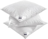 Kopfkissen „Polarstern“ im XXXLutz Prospekt Kopfkissen „Polarstern“ von Billerbeck im aktuellen XXXLutz Prospekt für 49,99 €