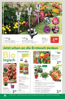 Beetpflanzen im BayWa Bau- und Gartenmärkte Prospekt "Hier bin ich gern" mit 24 Seiten (München)