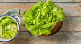 Kopfsalat Angebote von REWE Regional bei REWE Memmingen für 0,89 €