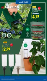Plante Verte Angebote im Prospekt "Le vrai prix des bonnes choses" von Lidl Plante Verte Angebote im Prospekt "Le vrai prix des bonnes choses" von Lidl auf Seite 21