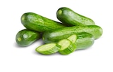 Penny - Mini-Gurke Angebot im Prospekt Mini-Gurke bei Penny im Prospekt "" für 0,35 €
