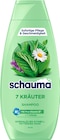 Shampoo von Schauma im aktuellen Rossmann Prospekt für 1,69 €