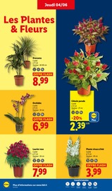 Promos Bricolage dans le catalogue "Ça vaut le coup." de Lidl Bricolage en promo dans le catalogue Lidl à la page 26
