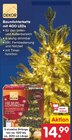 Baumlichterkette mit 400 LEDs von DEKOR im aktuellen Netto Marken-Discount Prospekt für 14,99 €