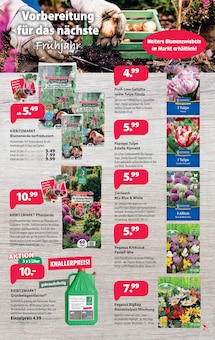 Gartenerde im aktuellen Kiebitzmarkt Prospekt (Hamburg) Gartenerde im Kiebitzmarkt Prospekt "Der Herbst naht!" mit 16 Seiten (Hamburg)