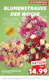 Kaufland Schnittblumen im Prospekt Kaufland Schnittblumen im Prospekt