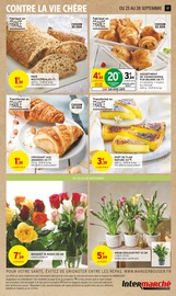 Plante Verte Angebote im Prospekt "LE TRÈS GROS ANNIVERSAIRE" von Intermarché auf Seite 17
