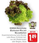 Herzstücke Blattsalat-Mix mit Wurzelballen bei EDEKA im Hügelsheim Prospekt für 1,49 €