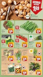 REWE Tomaten im Prospekt 