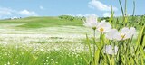 Innenweiß Mineral-Innenfarbe auf Silikatbasis bei Globus-Baumarkt im Kitzingen Prospekt für 