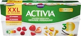 Activia im Angebot bei Netto Marken-Discount in Homburg Activia Angebote von Danone bei Netto Marken-Discount Homburg für 2,99 €