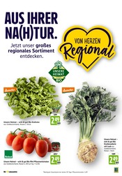 Aktueller E center Prospekt mit Tomaten, "Aktuelle Angebote", Seite 8
