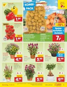 Kartoffeln im Netto Marken-Discount Prospekt "Aktuelle Angebote" mit 57 Seiten (Wiesbaden)