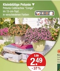 KleinblĂŒtige Petunie im V-Markt Prospekt KleinblĂŒtige Petunie von im aktuellen V-Markt Prospekt fĂŒr 2,49 âŹ