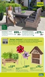 Aktueller Pflanzen Kölle Prospekt mit Gartendeko, "Holen Sie sich den Frühling in Haus und Garten!", Seite 13