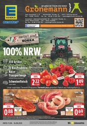 Bratwurst im EDEKA Prospekt in Castrop-Rauxel Aktueller EDEKA Prospekt mit Bratwurst, "Aktuelle Angebote", Seite 1