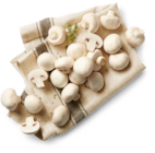 Aktuelle Pilze Angebote bei Kaufland in Wuppertal Aktuelles Poln. Kulturchampignons, weiß Angebot bei Kaufland in Wuppertal ab 1,49 €