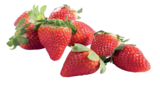 Supermarchés Match Halluin - Promo Fraise Promo Fraise à 3,29 € dans le catalogue Supermarchés Match à Halluin