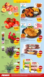 Schnitzel im Penny Prospekt in Saarbrücken Aktueller Penny Prospekt mit Schnitzel, "Wer günstig will, muss Penny.", Seite 28